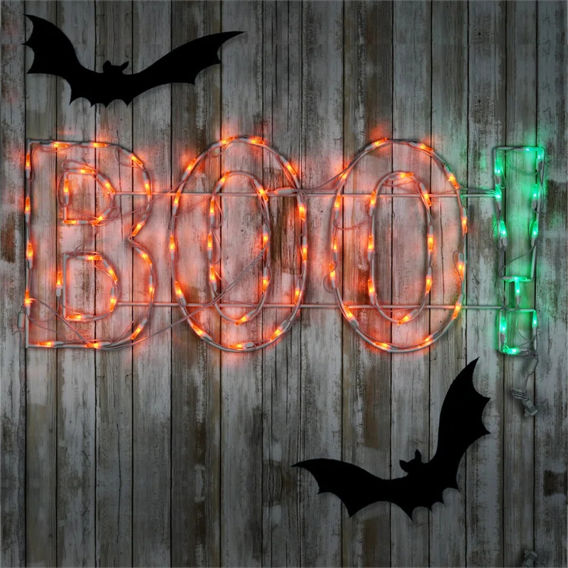 National Tree Company 36" Halloween Lighted "BOO" Sign | Wayfair | Wayfair North America