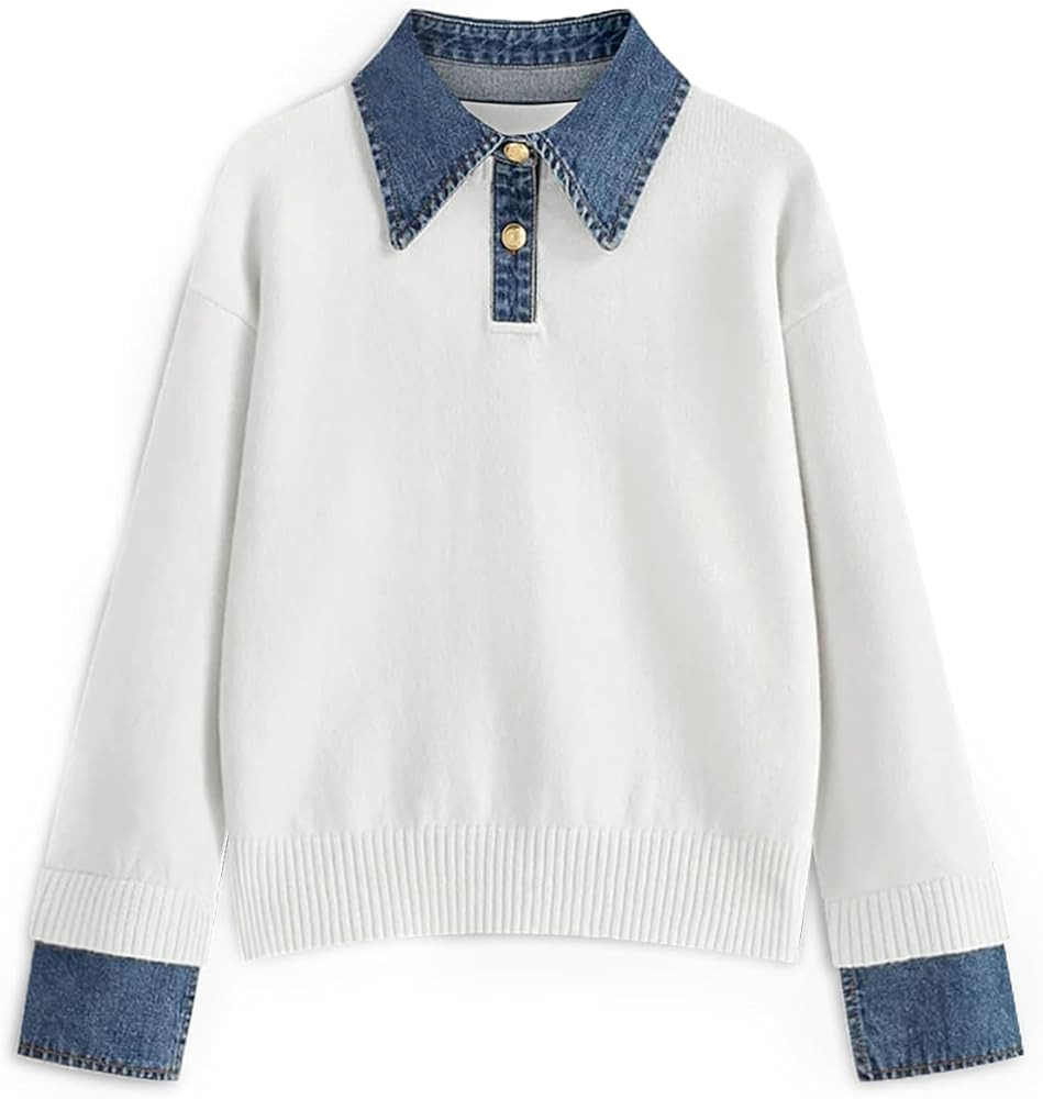 ETCYY Suéter de gran tamaño para mujer, acogedor para otoño, manga larga, con botones, tipo po... | Amazon (US)