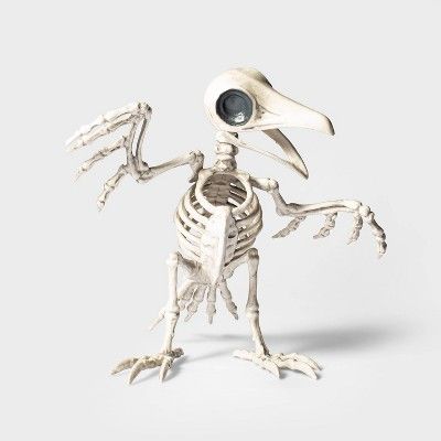 Raven Skeleton Halloween Decorative Prop - Hyde & EEK! Boutique™ | Target