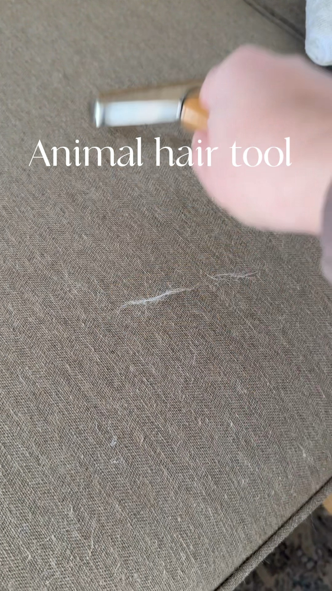 When you love your pets…but not the hair they leave behind.

#LTKvlog #LTKdayinmylife #LTKHome