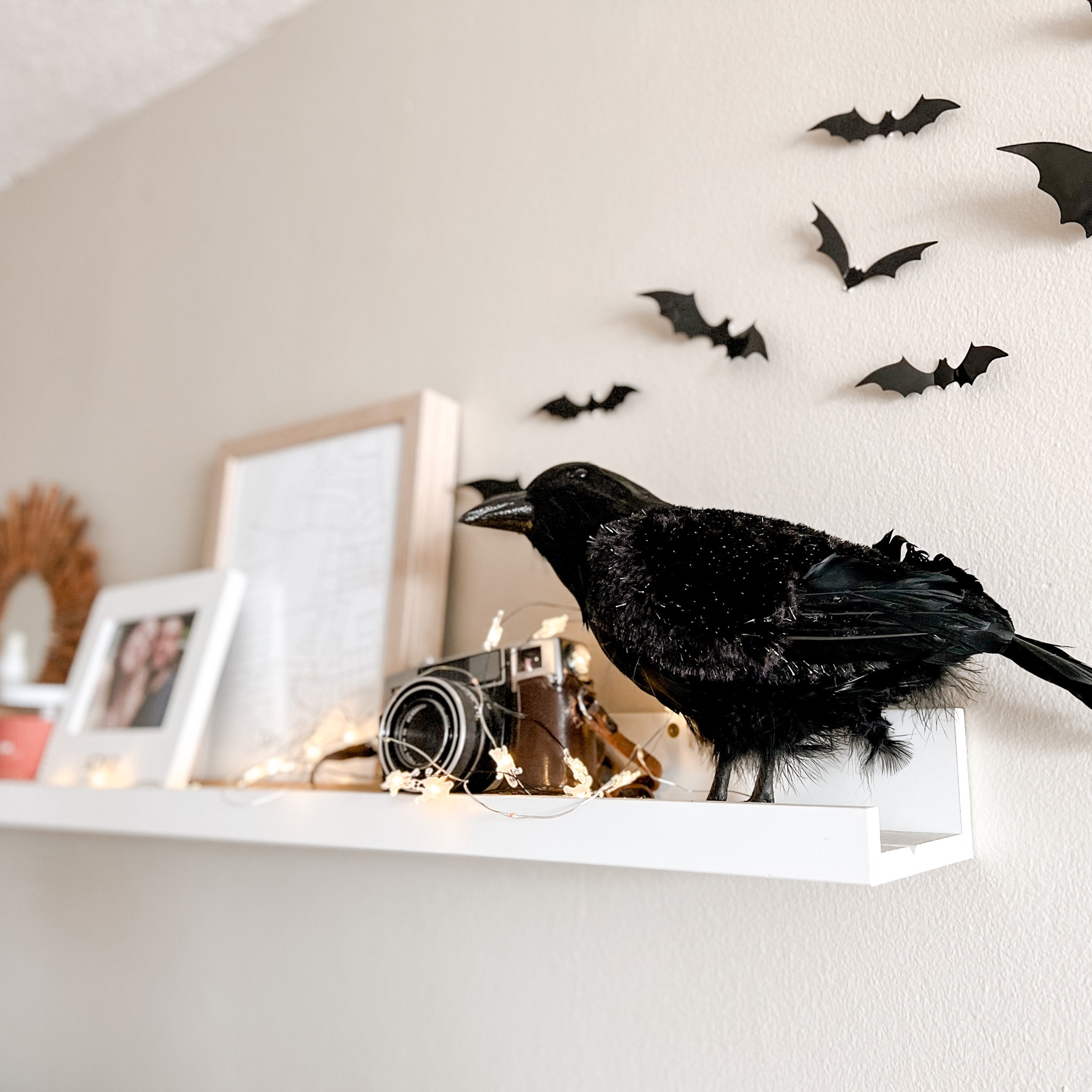 Hello again, spooky season 

#LTKhome #LTKSeasonal #LTKHalloween