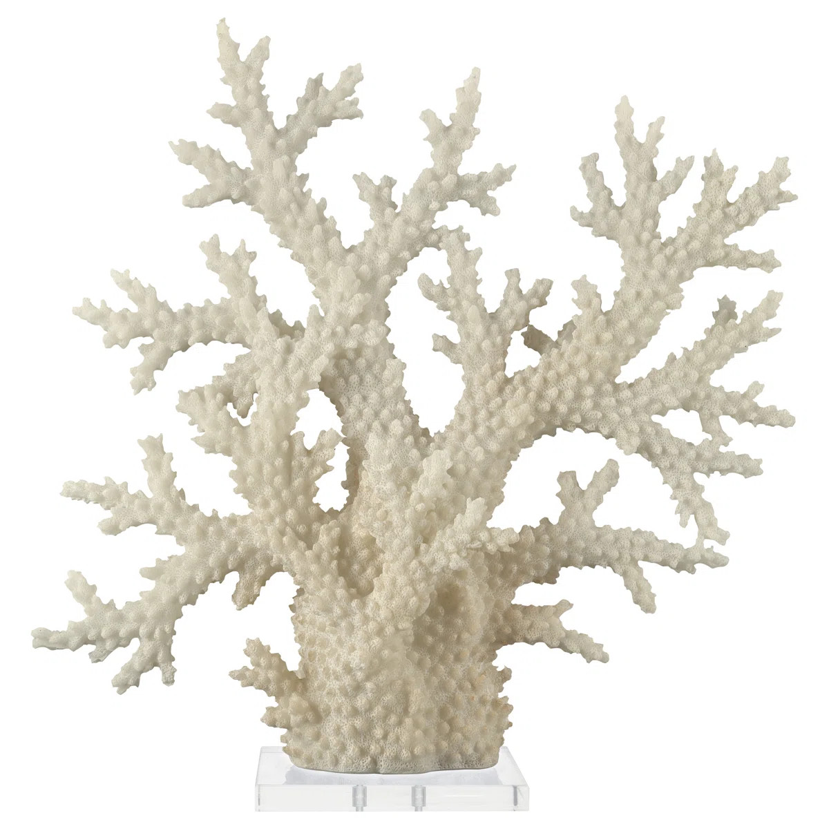 Buelah Polystone Coral Decorative Cream Sculpture with Clear Acrylic Base | Wayfair North America