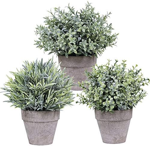 Set of 3 Artificial Mini Potted Plants Assorted Flocked Eucalyptus Grey Green Grass Greenery in P... | Amazon (US)