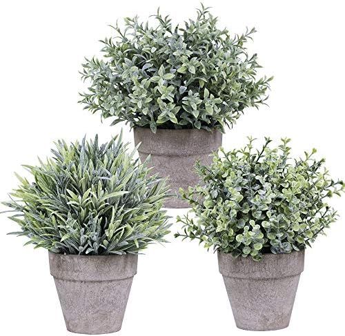 Set of 3 Artificial Mini Potted Plants Assorted Flocked Eucalyptus Grey Green Grass Greenery in P... | Amazon (US)