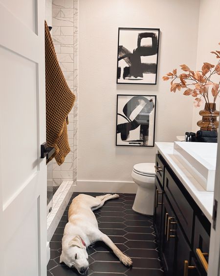 bathroom refresh + Missy June my parent’s rescue dog bathroom remodel

#LTKstyletip #LTKhome #LTKfindsunder50