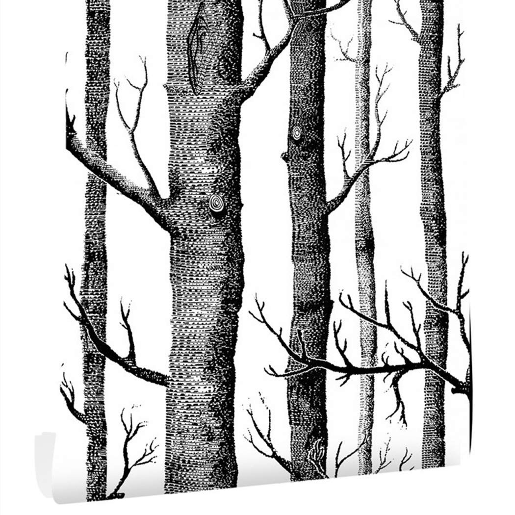 17.7" x 394" Birch Tree Wallpaper Peel and Stick Wallpaper for Bedroom/Living Room Black Contact ... | Amazon (US)