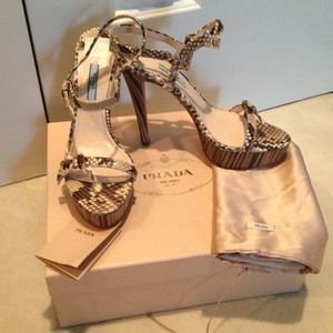 NWT Prada snakeskin pump | Poshmark