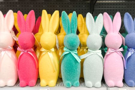 The cutest little flocked bunnies for $9.98 🐰 

#easterbunny #flockedbunny #flockedrabbit #easter #bunny #easterdecor #easterbasket

#LTKunder50 #LTKSeasonal #LTKhome