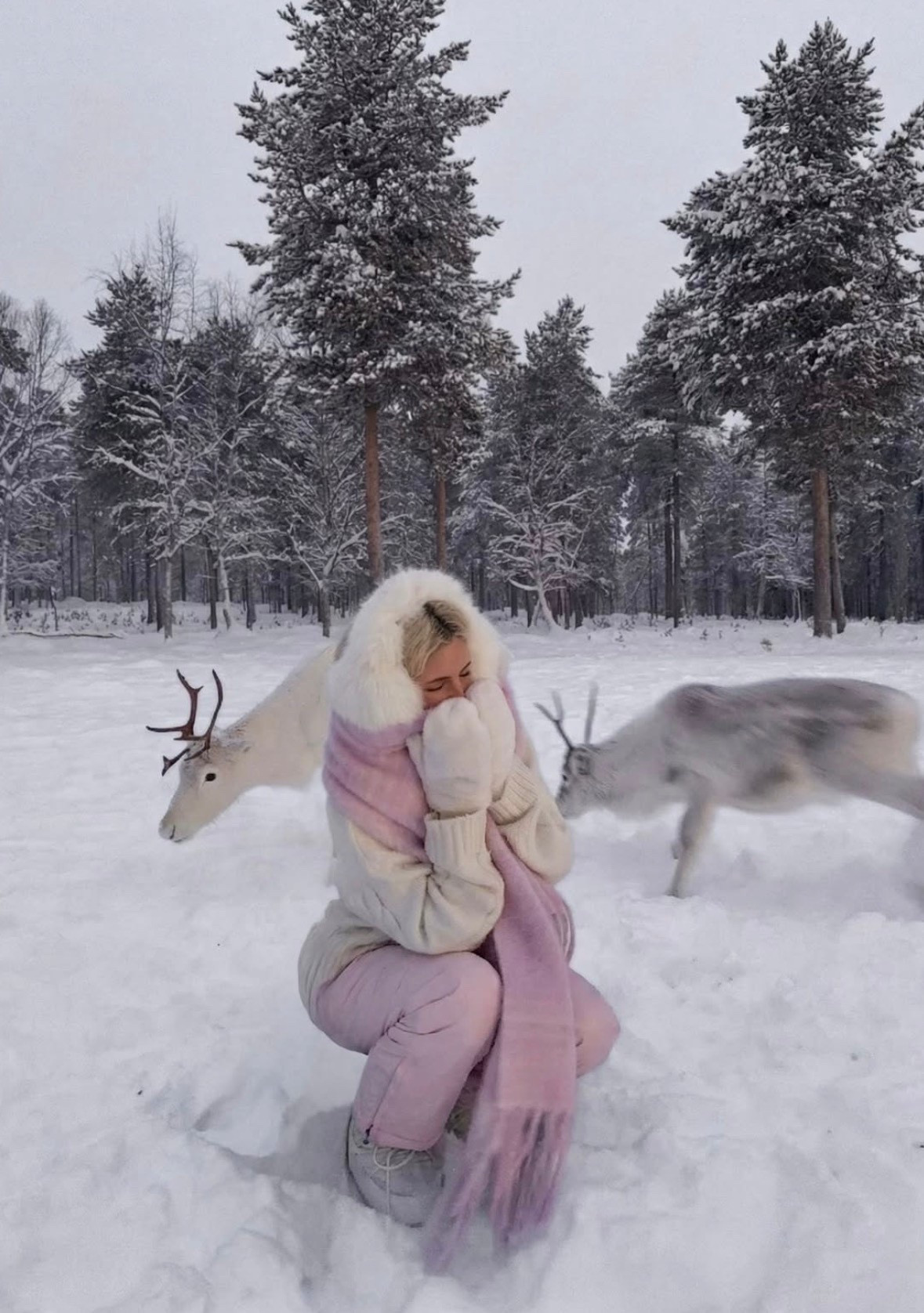 a real life winter wonderland ❄️🦌🌸✨ & played with reindeer in the snow in the lapland forest!!!
#lapland #laplandfinland #wintertrip winter clothes, snow outfit, pink snow outfit, pink winter outfit inspo

#LTKootd #LTKTravel #LTKHoliday