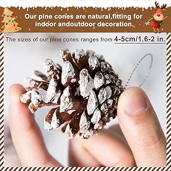 Whaline 25Pcs Christmas Natural Pine Cones Bulk Rustic Snow Pinecones with String Pine Cone Penda... | Amazon (US)