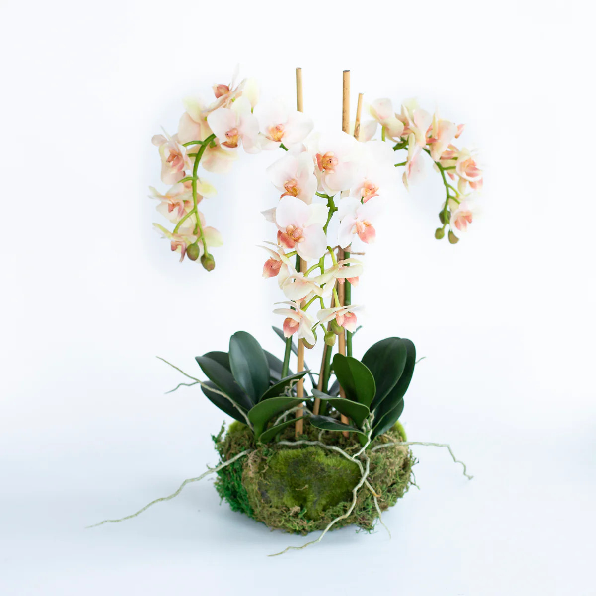 16" Faux Orchid Drop-In - Peach | Susan Gordon Pottery