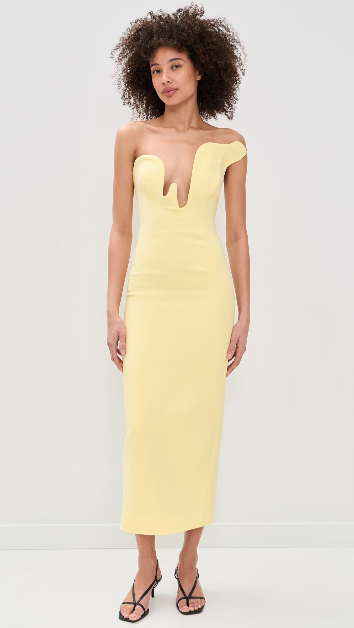 Rosalyn Midi Dress | Shopbop