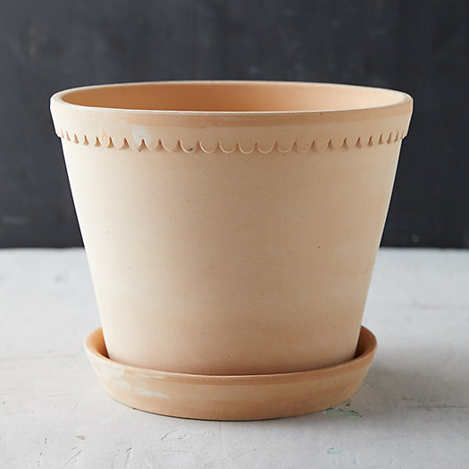 Bergs Scallop Pot + Saucer | Terrain