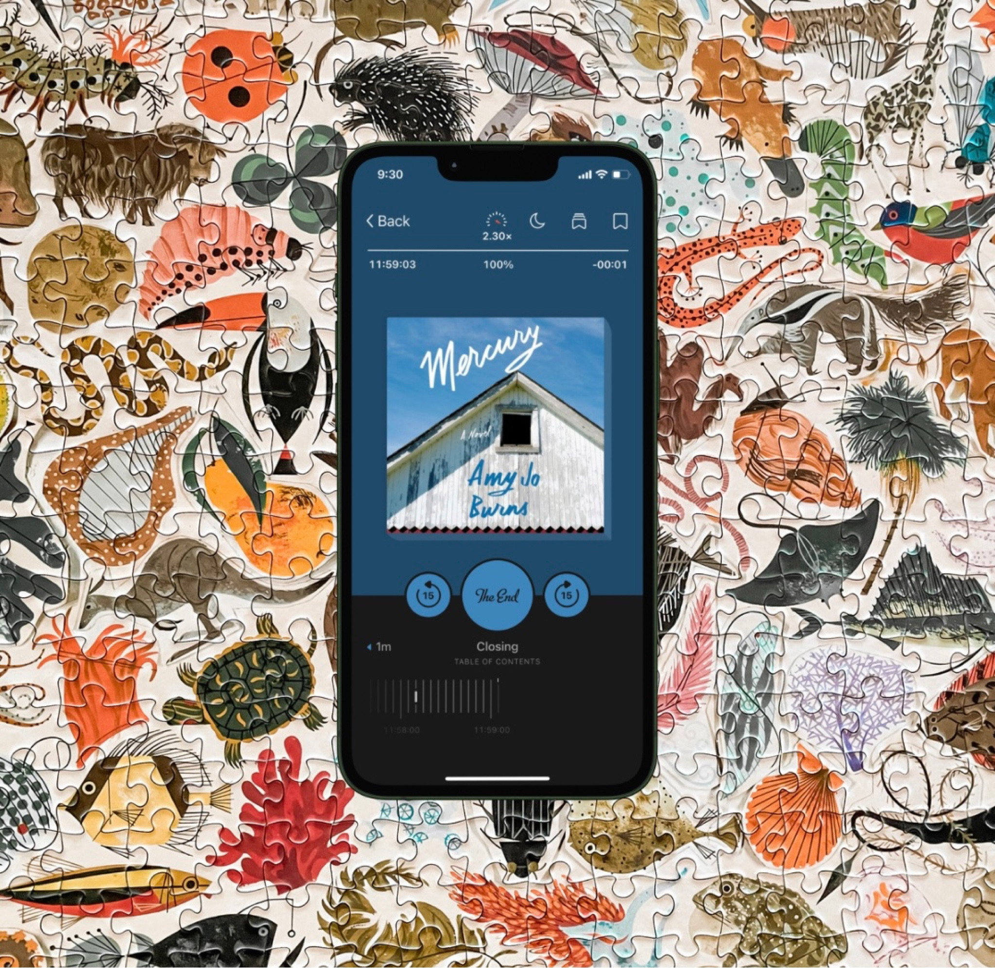 Family drama, audiobook, jigsaw puzzle

#LTKfindsunder50 #LTKhome