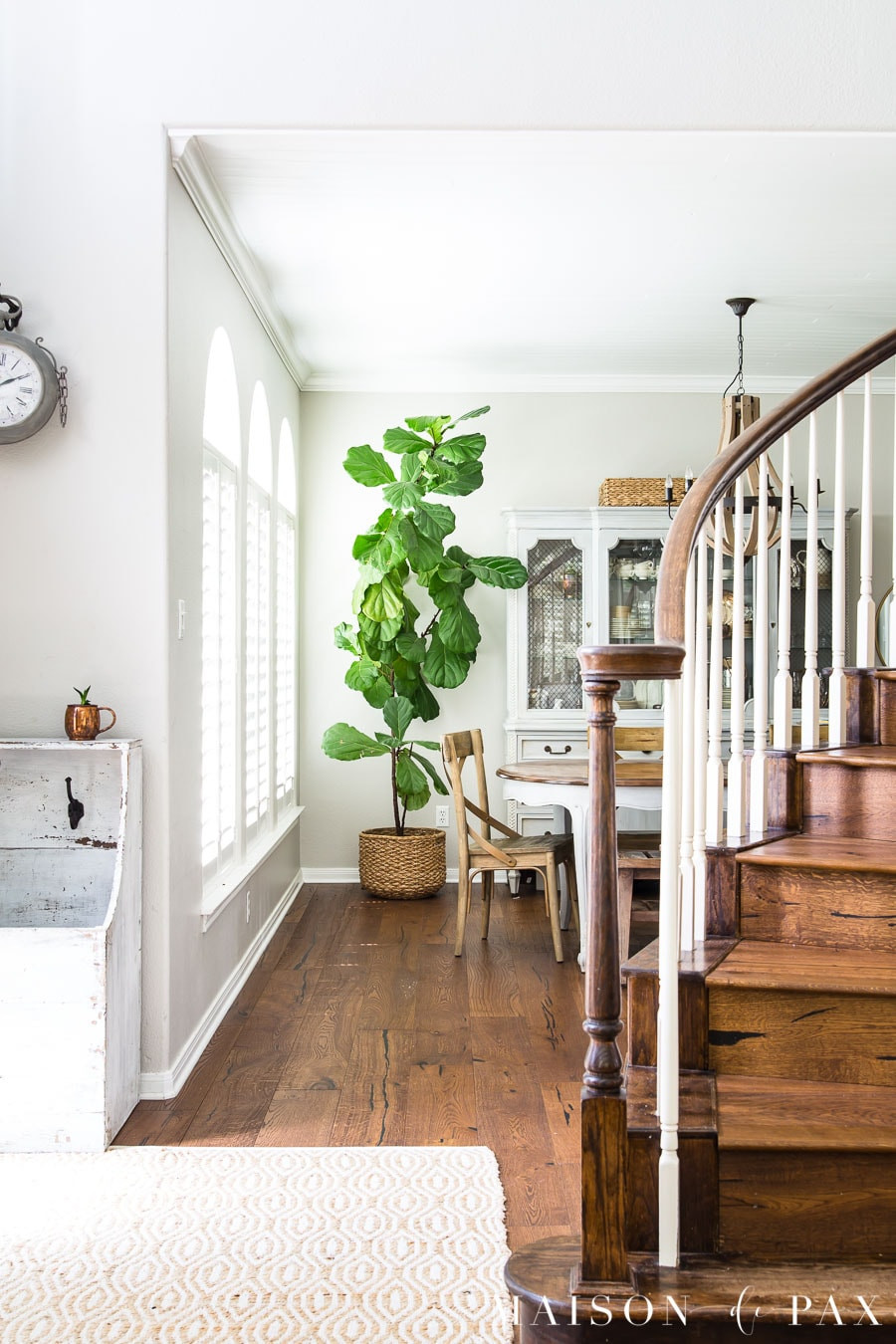 Nothing beats a big fiddle leaf fig for instant style, and the best part is you can grow more from clippings. I’m linking the supplies you’ll need to propagate your own. 

 #LTKHome