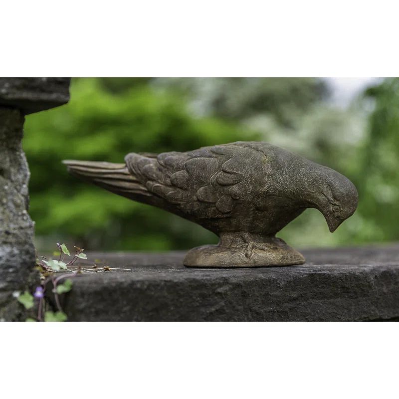 Aged Limestone French Dove | Wayfair North America
