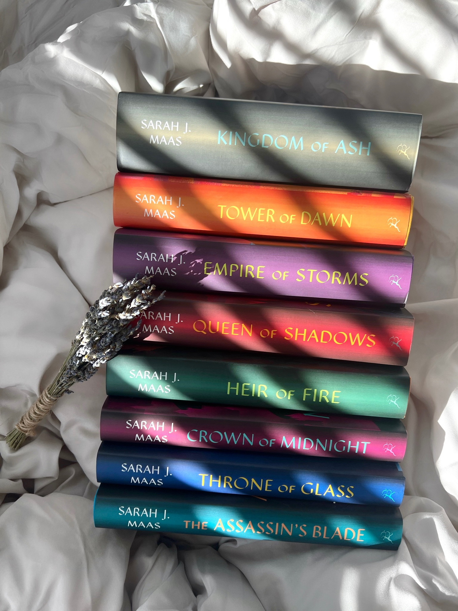 Throne of Glass will always have my heart 

#LTKCon #LTKFindsUnder100 #LTKSaleAlert