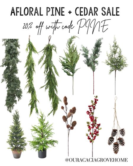 My favorite winter and Christmas florals from Afloral are 20% off with code PINE! This is a perfect time to stock up since many will go out of stock by the holiday season!

#LTKHoliday #LTKhome #LTKsalealert