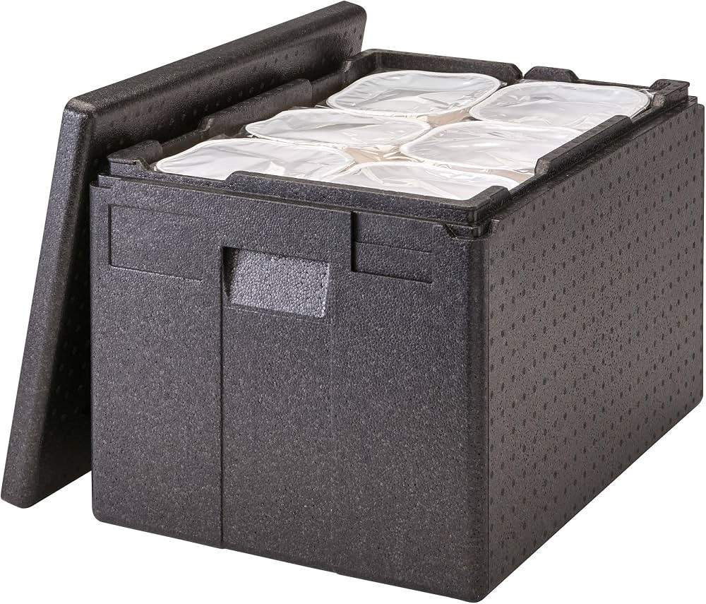 Cambro GoBox Insulated Lightweight Thermal Hot Box and Food Pan Carrier (12 Inch Deep) - Hotbox a... | Amazon (US)