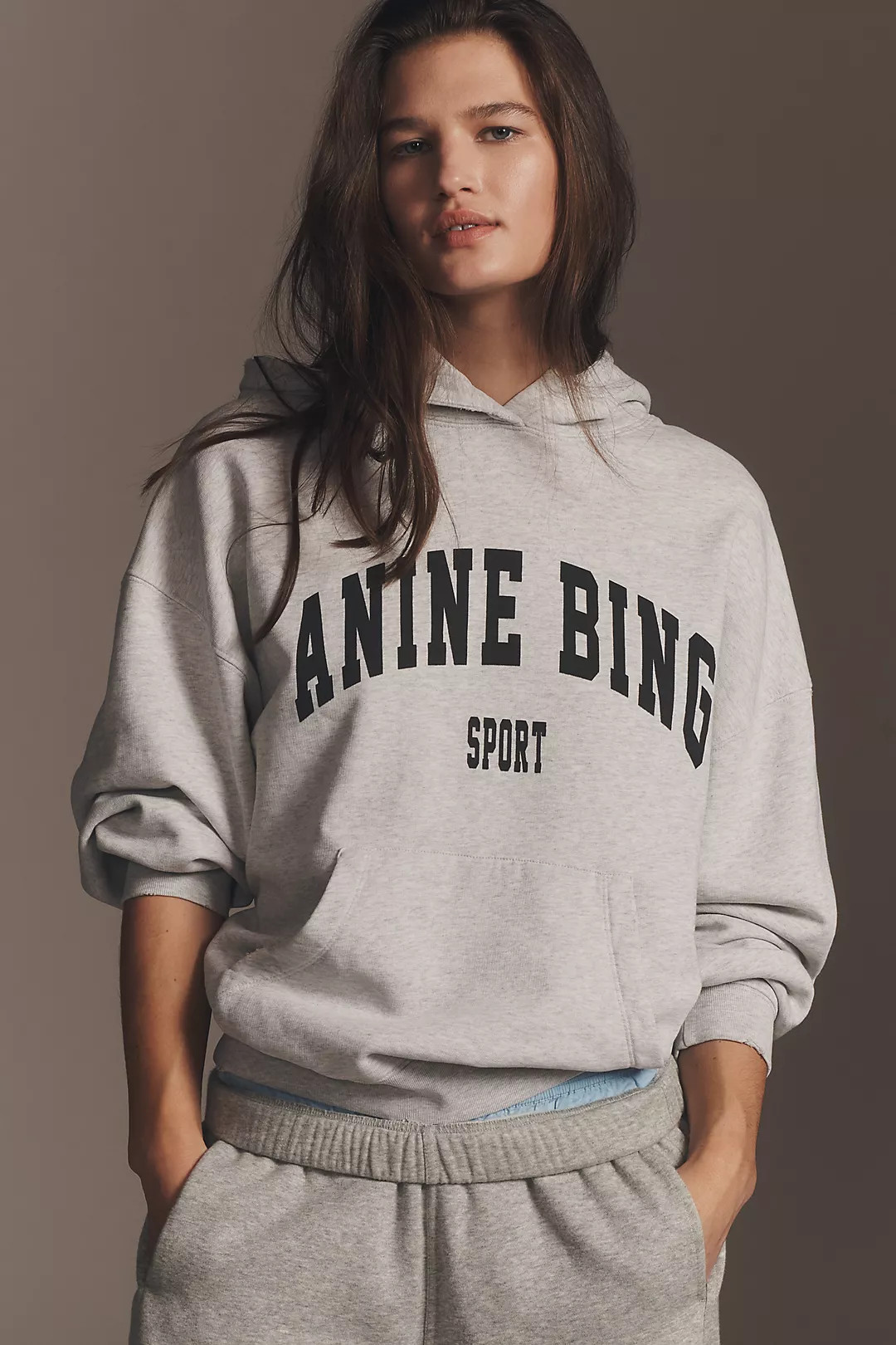 Anine Bing Harvey Hooded Sweatshirt | Anthropologie (US)