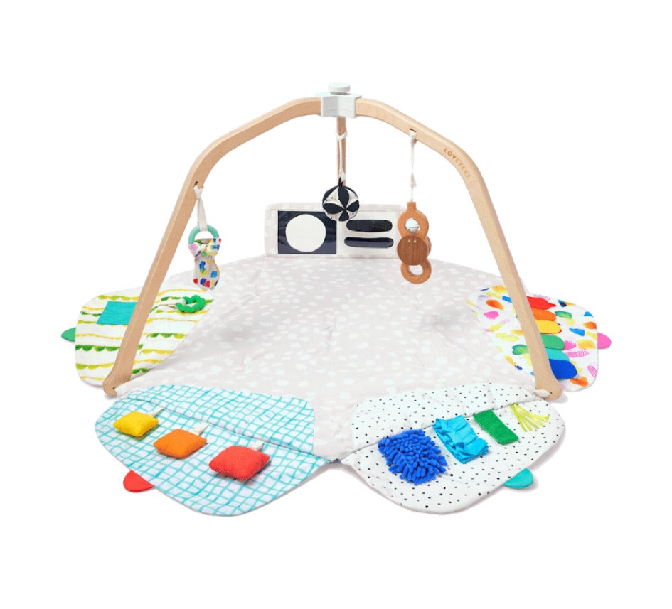Baby Gear Play Gym Newborn Toys 

#LTKGiftGuide #LTKBaby #LTKKids