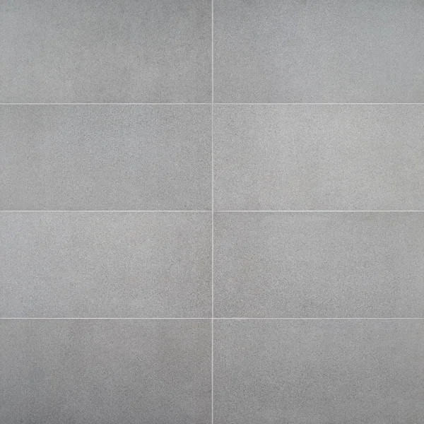 SkyTech 12" x 24" Matte Porcelain Stone Look Floor and Wall Tile (11.62 Sq. Ft. / Case) | Wayfair North America