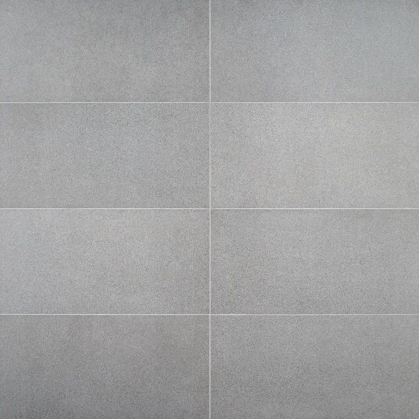 SkyTech 12" x 24" Matte Porcelain Stone Look Floor and Wall Tile (11.62 Sq. Ft. / Case) | Wayfair North America
