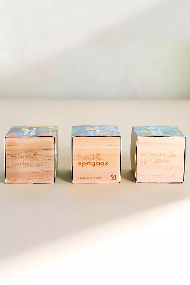 Sprigbox Herb Growing Kits, Set of 3 | Anthropologie (US)