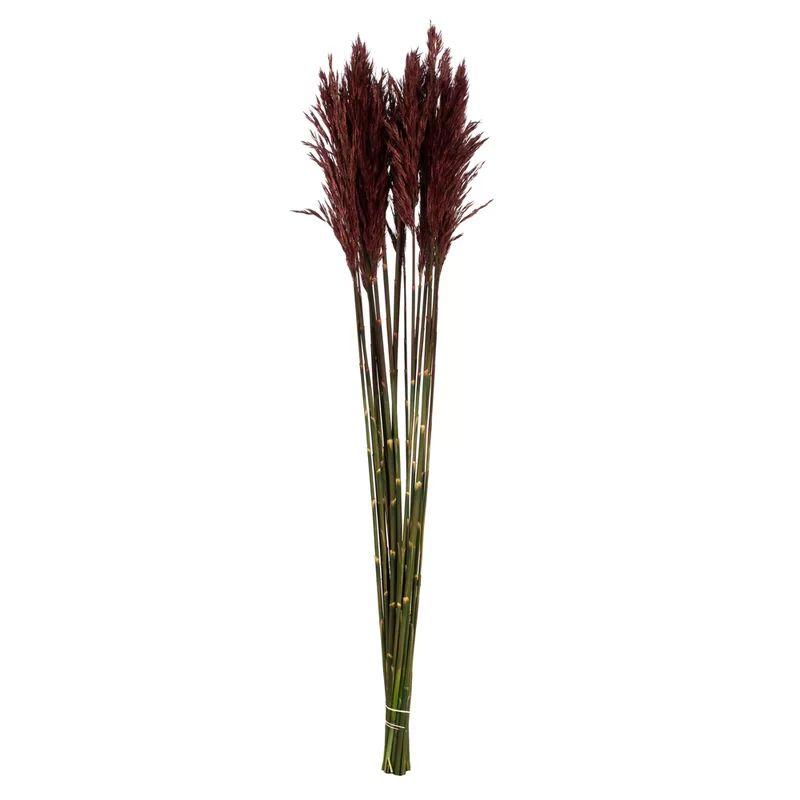 Plume Reed Bush (Set of 2) | Wayfair North America