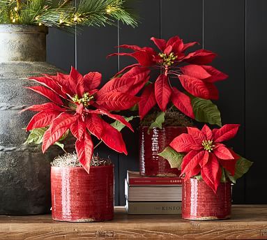 Faux Potted Poinsettias - Red | Pottery Barn (US)