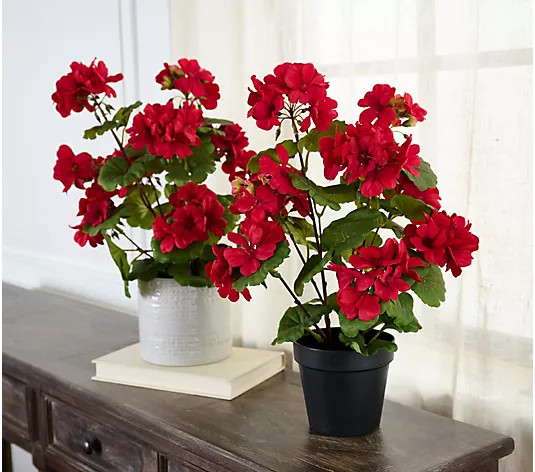 Make Your Selection: Set of 2 18" Geranium Potted Plants by Valerie | QVC
