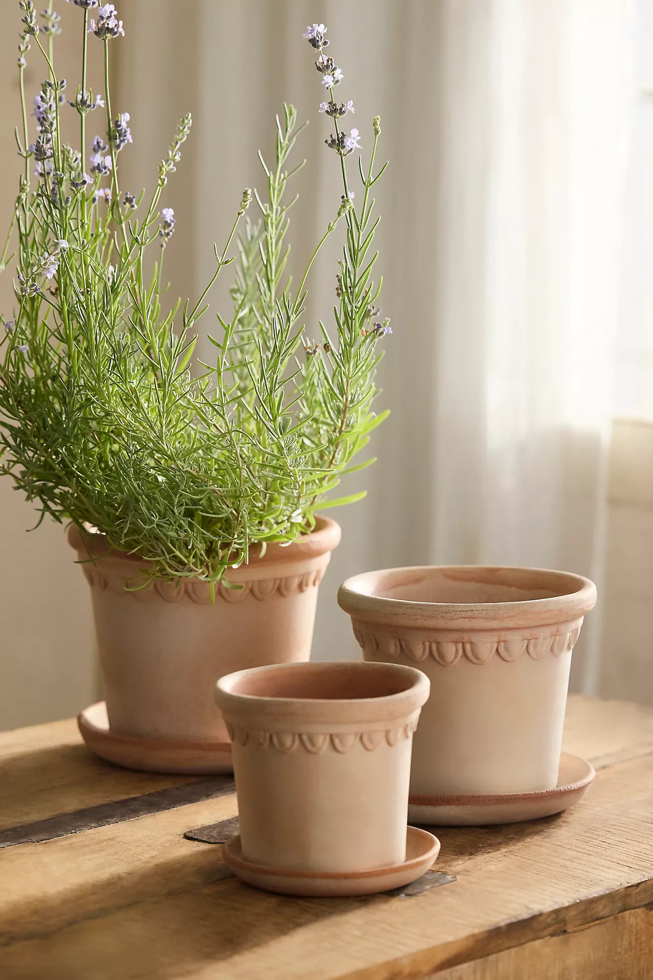 Terrace Galestro Pot | Terrain