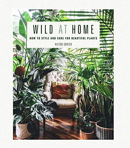 Wild at Home: How to style and care for beautiful plants: Carter, Hilton: 9781782497134: Books | Amazon (US)