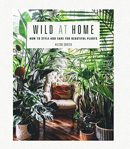 Wild at Home: How to style and care for beautiful plants: Carter, Hilton: 9781782497134: Books | Amazon (US)