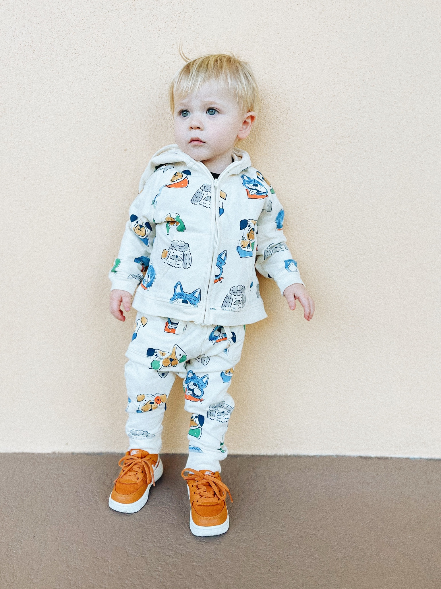 Puppy print, toddler sweatsuit, toddler fall outfit 

#LTKbaby #LTKfindsunder50 #LTKkids