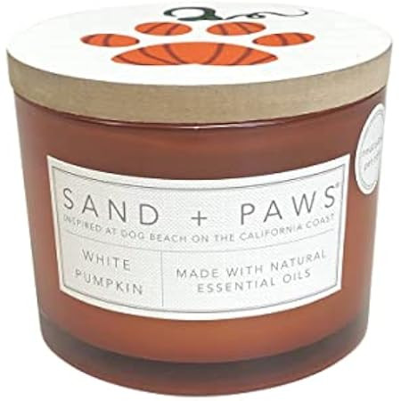 Sand + Fog Pumpkin Clove Scented Candles | Additional scents & Sizes | Made with Essential Oils | 12 | Amazon (US)