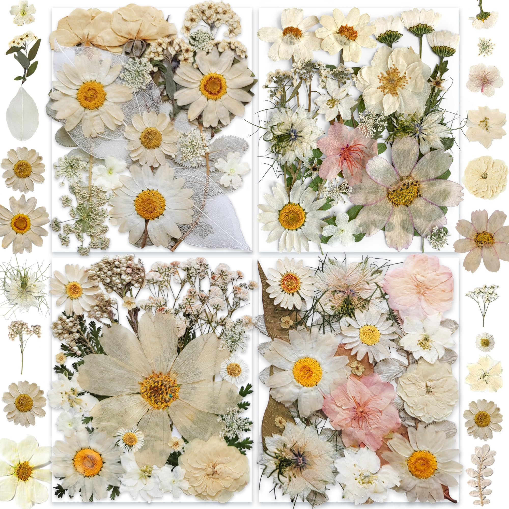 140PCS White Dried Pressed Flowers with Butterfly Stickers - YouthBro Real Nature Flowers Craft S... | Amazon (US)
