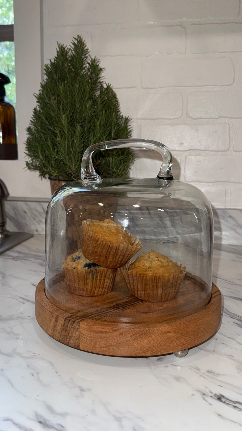 Pretty glass dome food storage for all my weekly bakes. Love it on the countertop!

#LTKHome #LTKGiftGuide #LTKfoodie