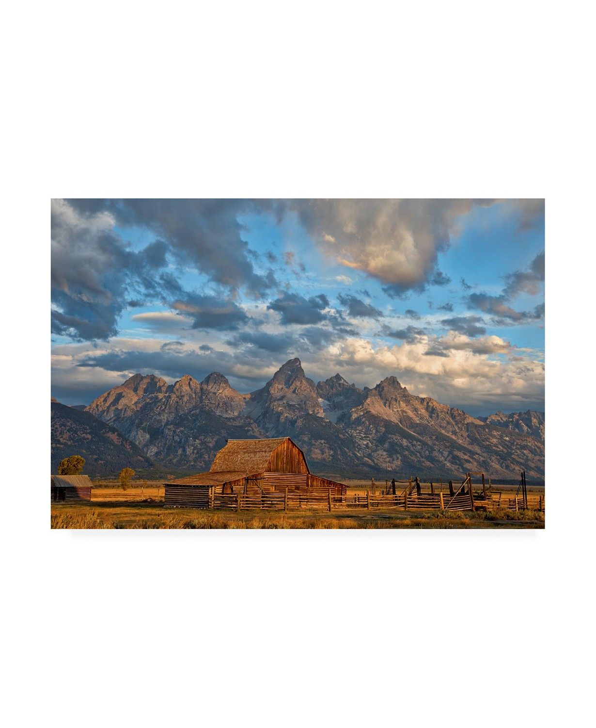 Trademark Global Darren White Photography Rustic Wyoming Canvas Art - 19.5 | Macys (US)