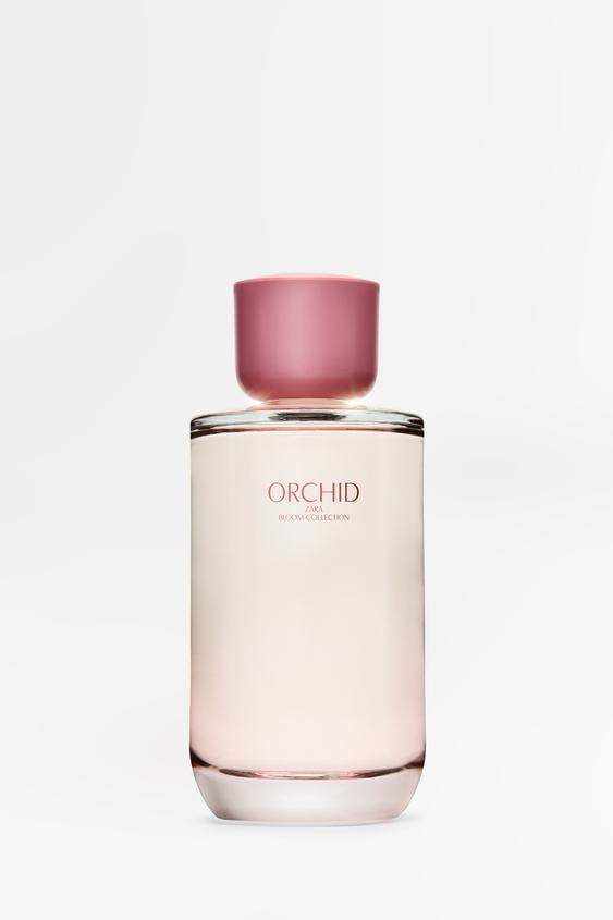 ORCHID EDP 180 ML (6.08 FL. OZ) | Zara US