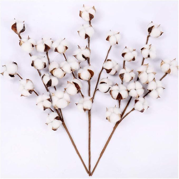 Cotton Stems - 20 Inch Tall (3 Stems/Pack) White Cotton Flowers Bolls Farmhouse Floral Stems for ... | Amazon (US)