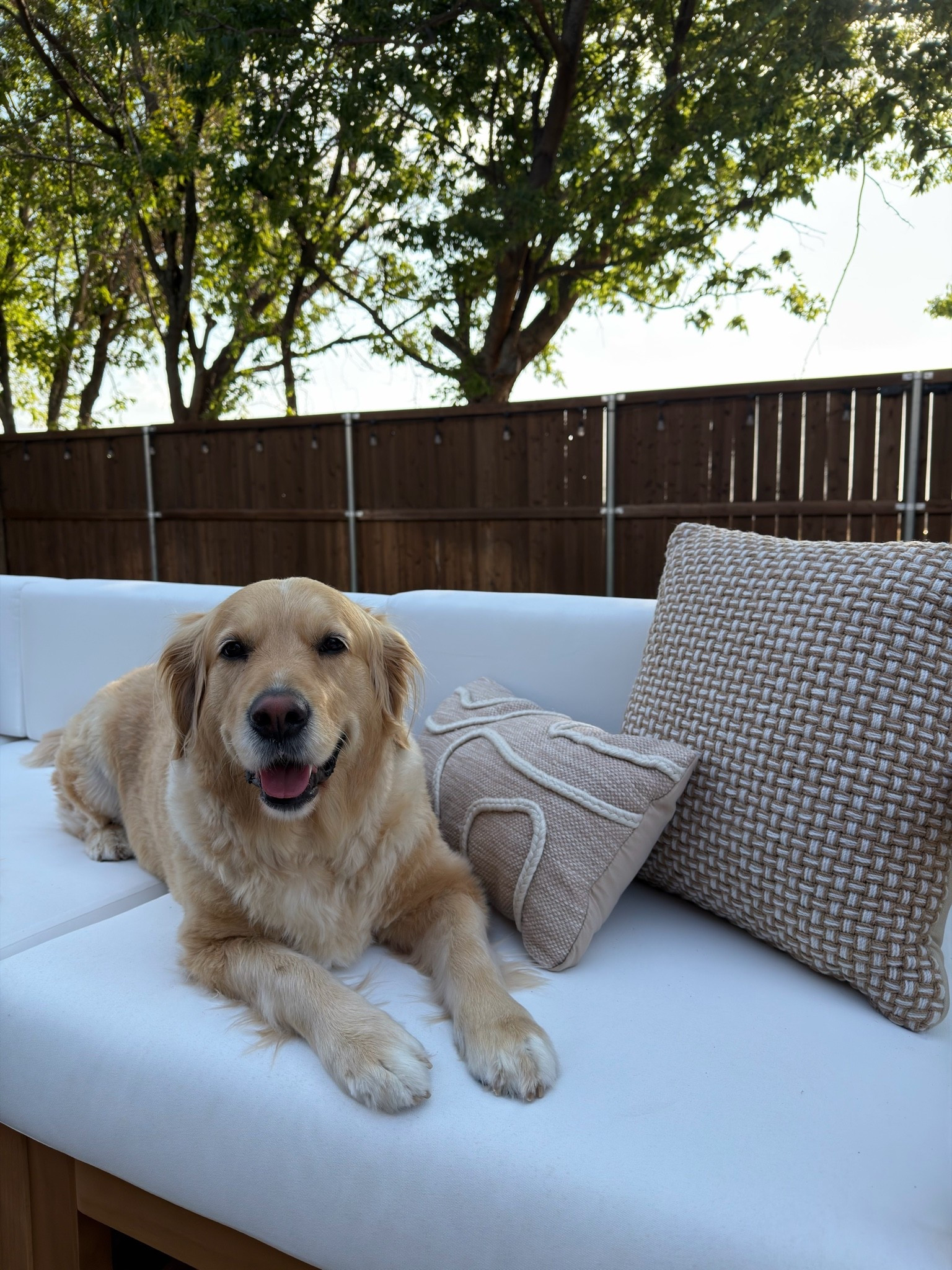 Outdoor pillows!