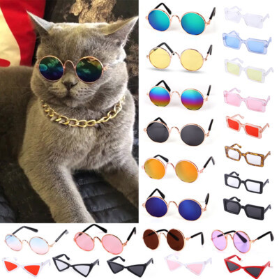 Dog Cat Pet Glasses For Pet Small Dog Eye-Wear Puppy Photos Props Sunglasses AU  | eBay | eBay US