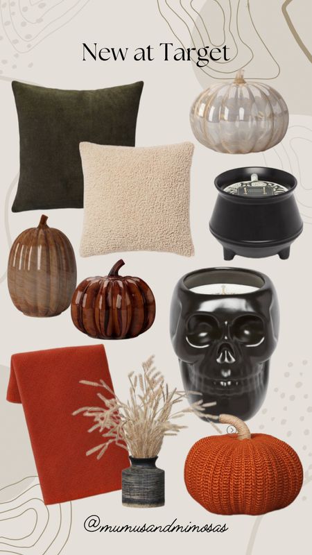 New fall decor at target
Skeleton candle 
Glass in ceramic 
Fall throw blanket 
Faux fall plants 
Fall pillows 
Pumpkin candles 


#LTKSeasonal #LTKhome #LTKunder50