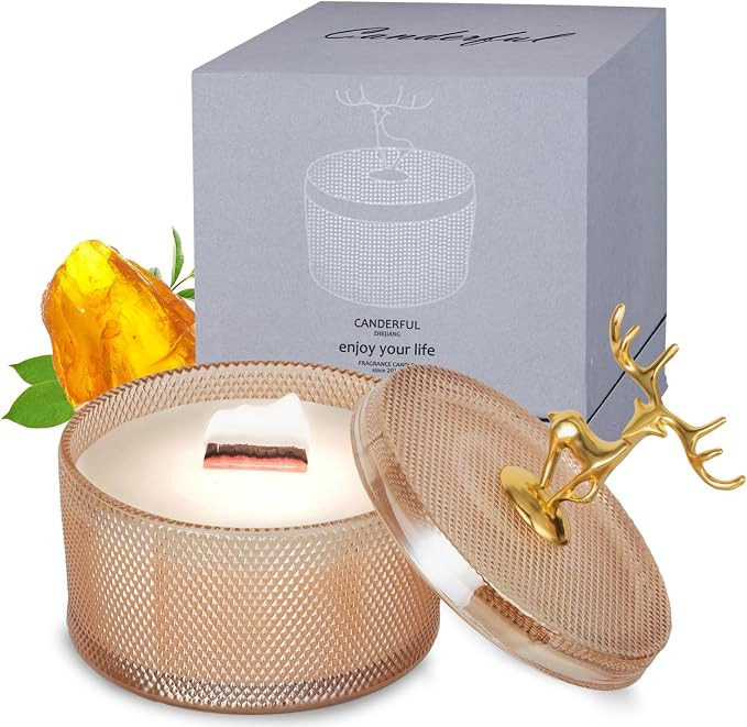 Premium Scented Candles, Home Decor Warming Gifts, Candles Glass Jar Decorative, Candle Gifts Ide... | Amazon (US)