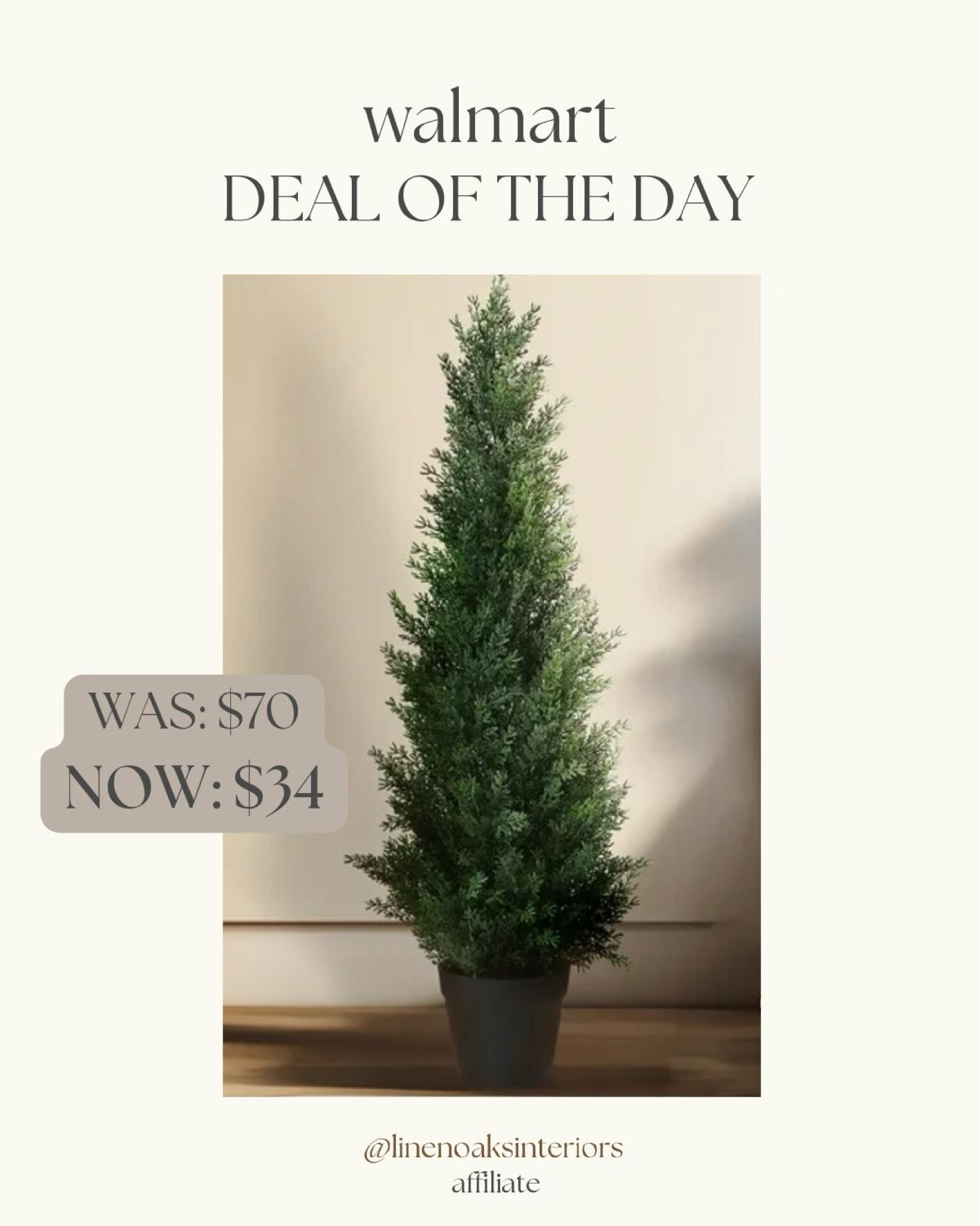 Deal of the day on this micro evergreen! Perfect for smaller spaces, tabletops and porches! 