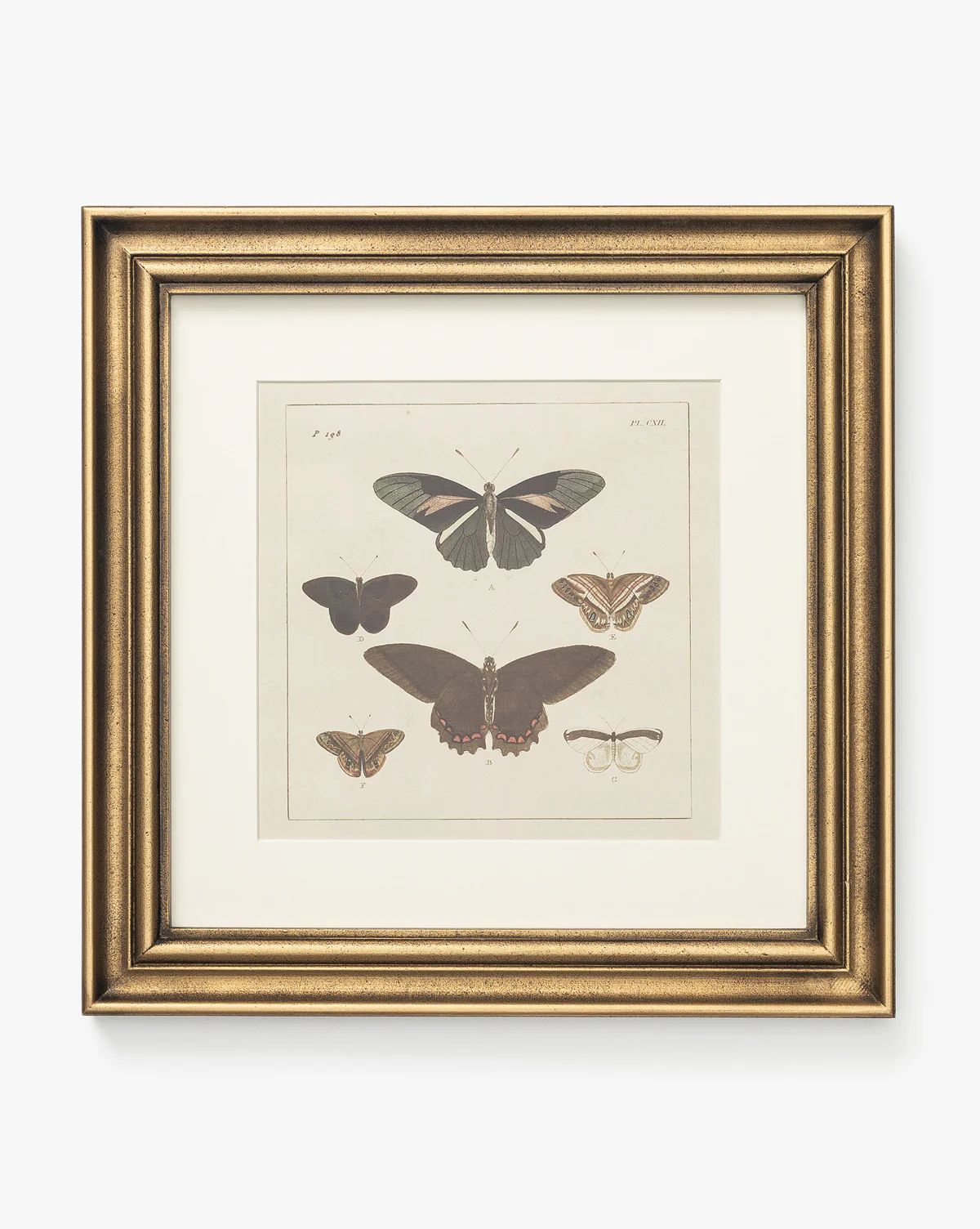 Butterfly Collage | McGee & Co. (US)