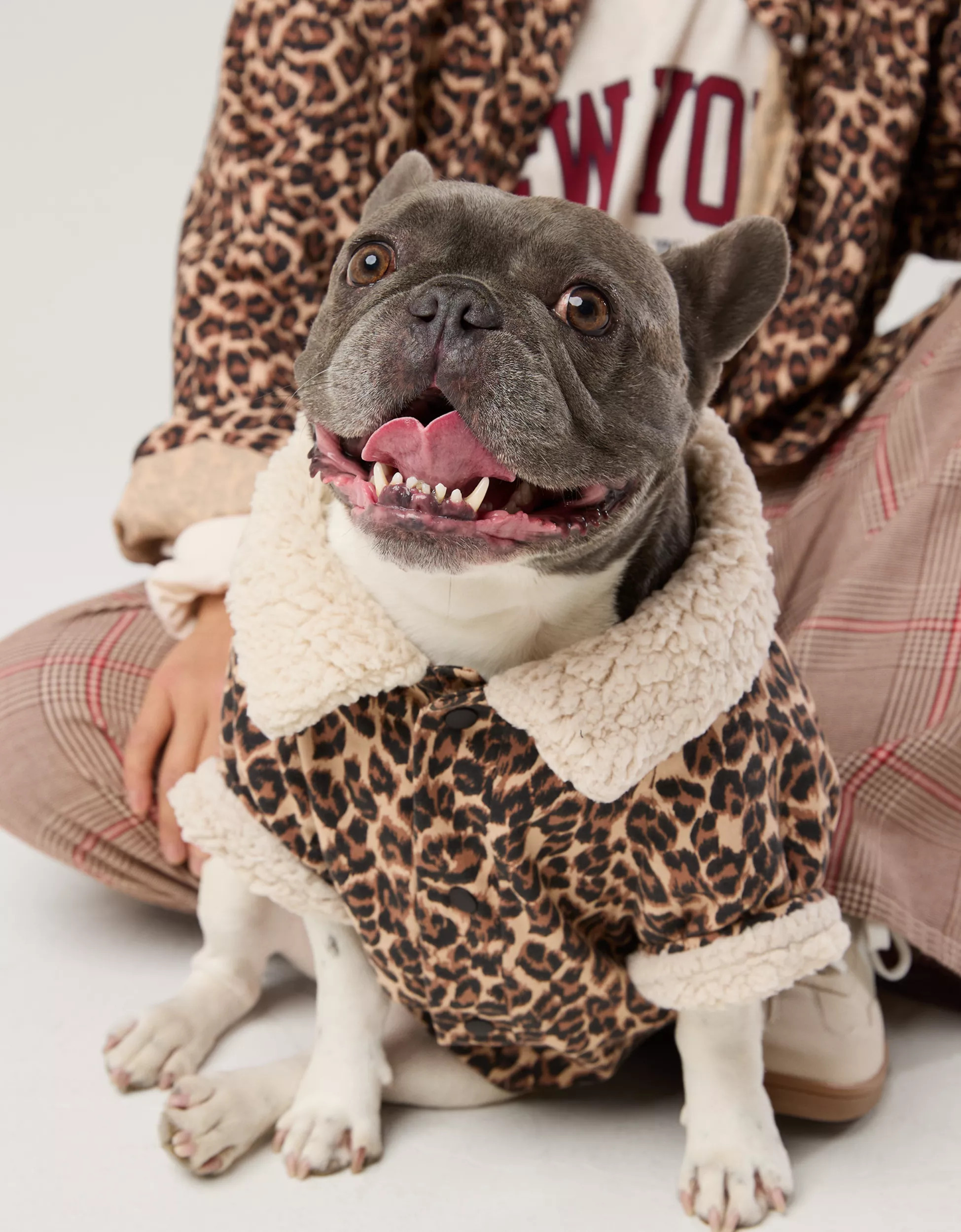 OFFLEASH By Aerie Flannel Dog Shirt | Aerie