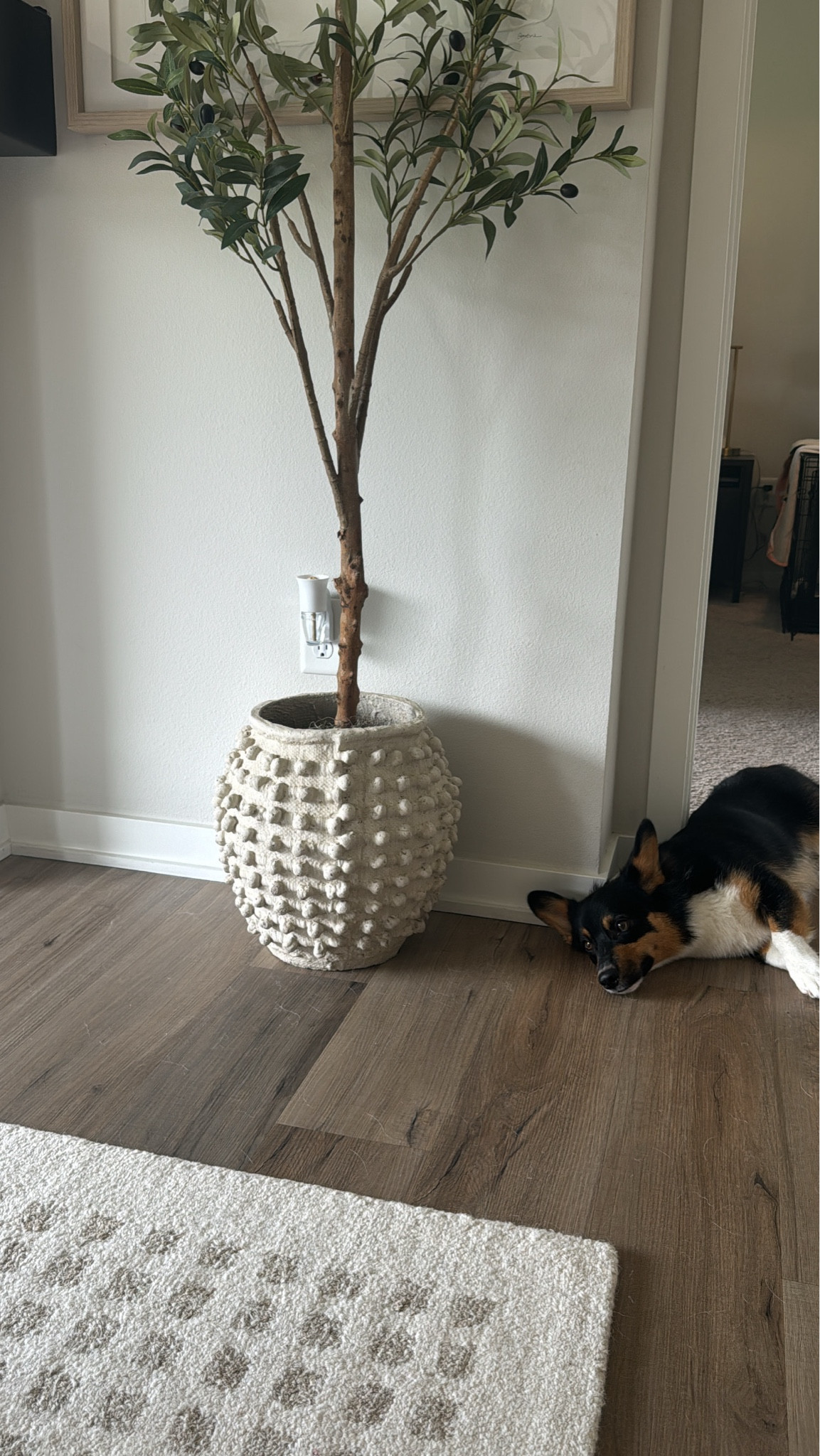 Planter pot on sale 🍃

#LTKHome #LTKFindsUnder100 #LTKSaleAlert