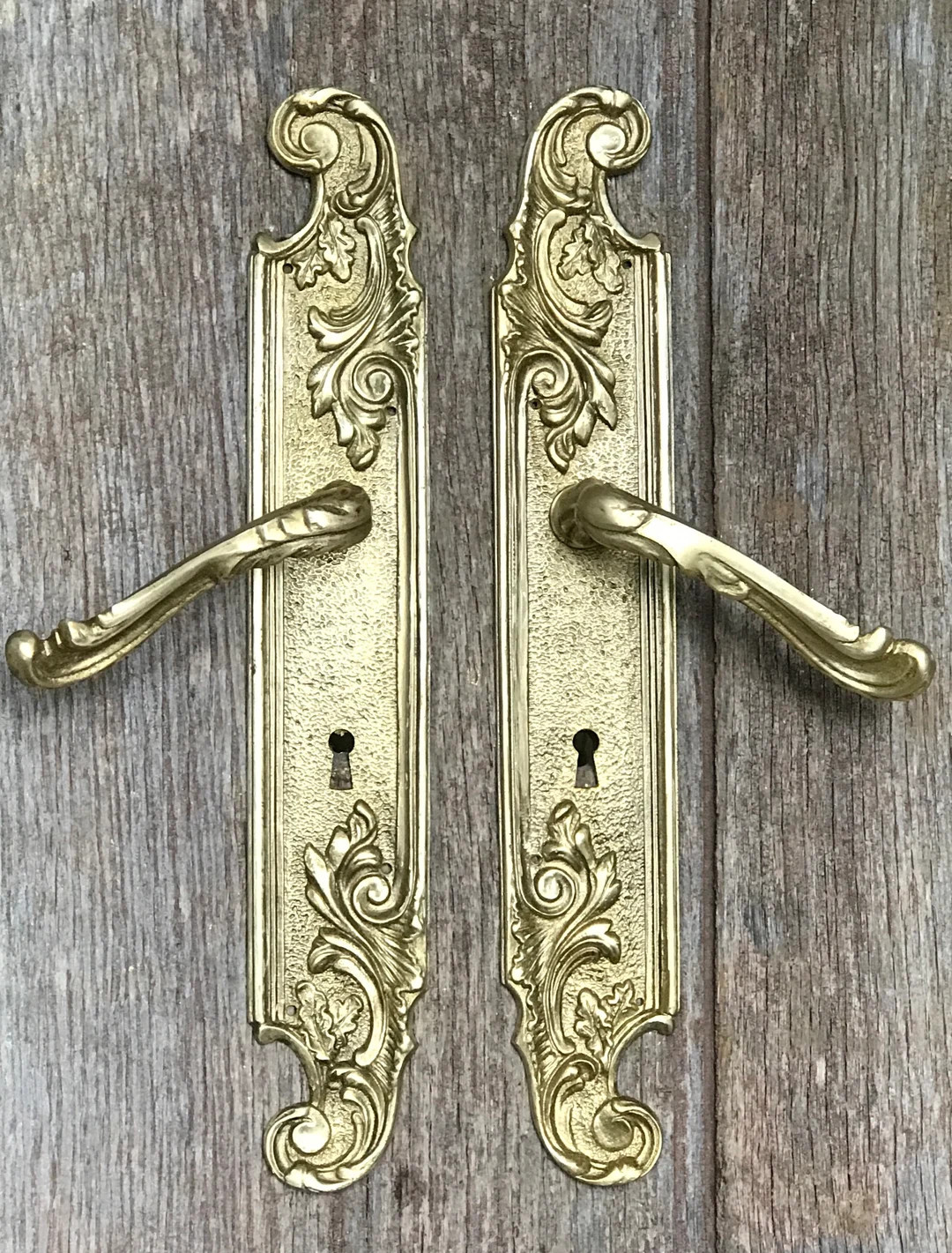 A pair of magnificent antique gilt bronze doorplates in the rococo style with matching door handl... | Etsy (US)